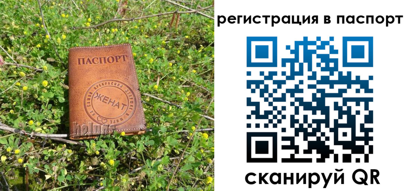прописка законно в Сухом Логе